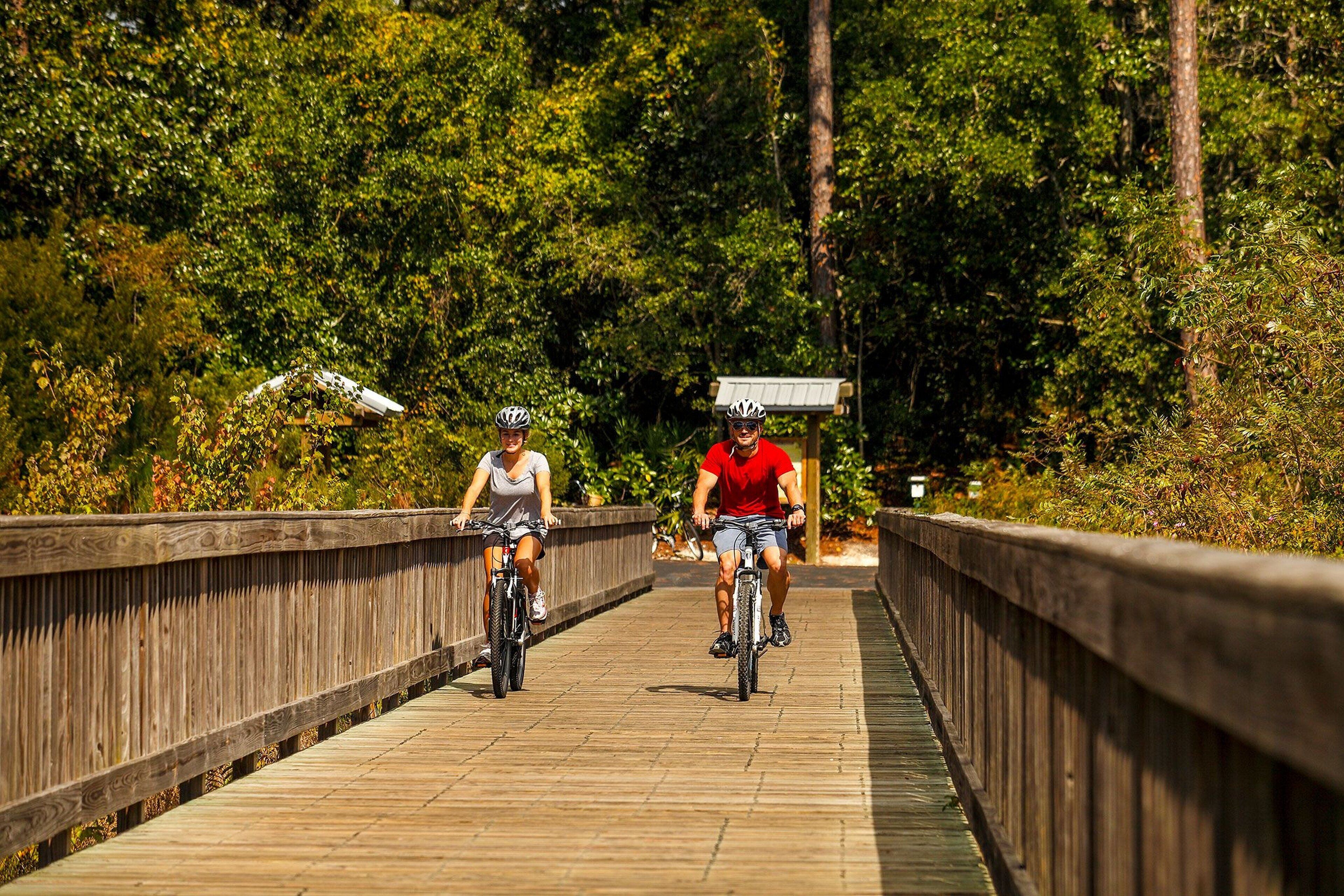 A wooden bridge with railings, surrounded by dense greenery and trees.