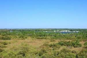 A coastal area with buildings and greenery.