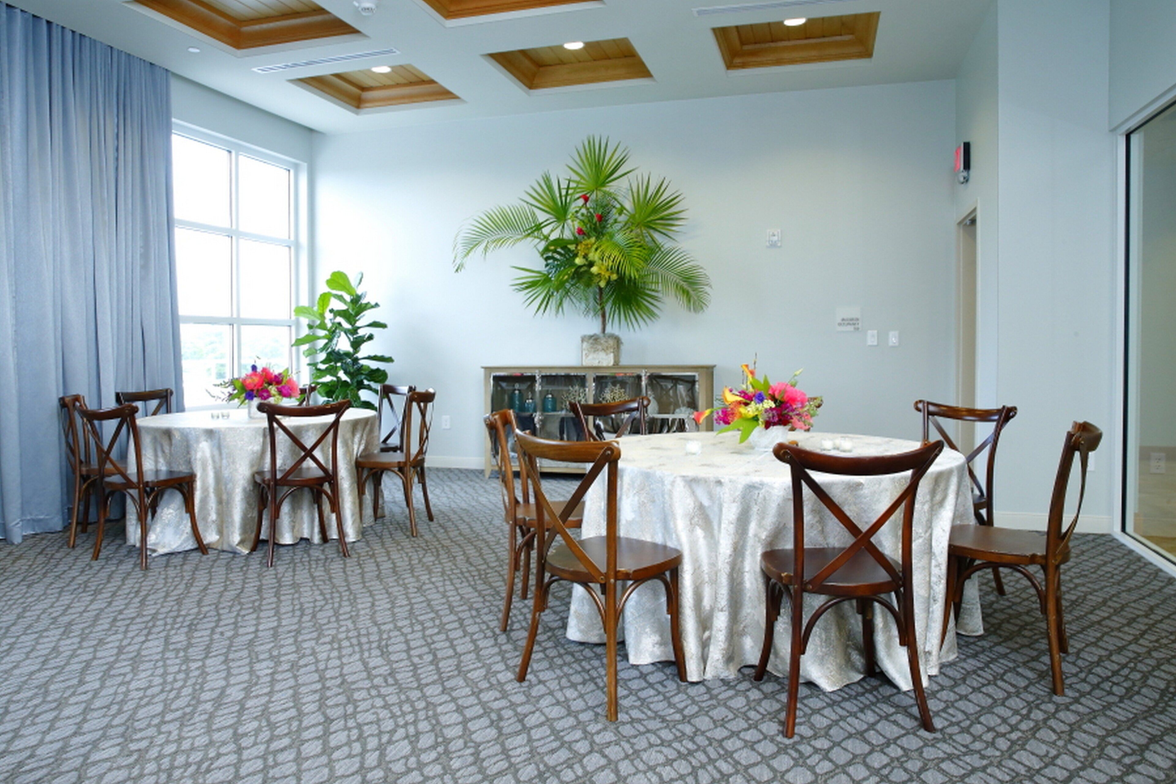 Un espace repas avec des tables rondes, des chaises en bois et une grande plante en pot.