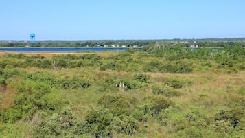 A natural landscape with a water tower, dense vegetation, and a distant view of houses by a body of water.