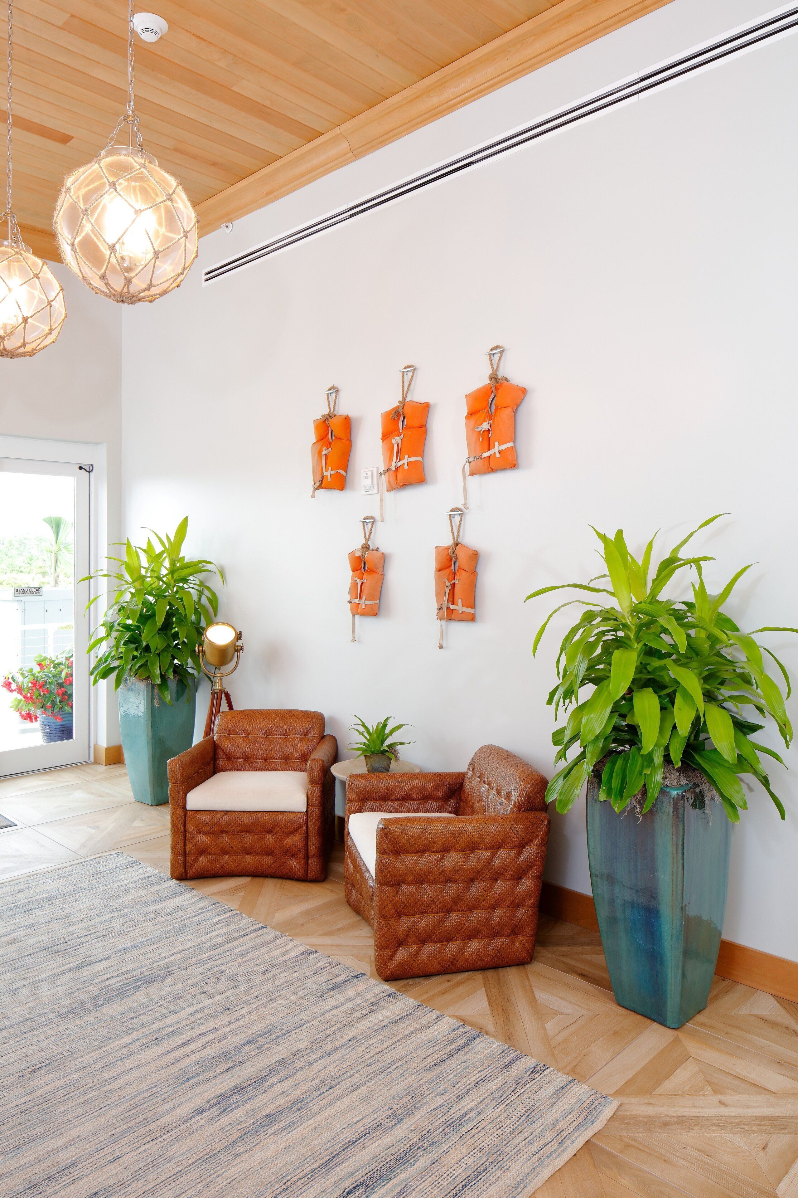A room with two brown armchairs, a large potted plant, and a hanging light fixture.