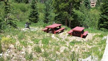 Lägenhet - flera sängar - utsikt mot bergen (Buffalo Ridge 1 Bedroom 2 Lofts BRBF) | Grill- och picknickområde