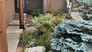 A garden with various plants and a small tree.
