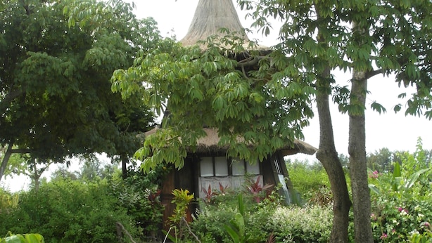 Tuin