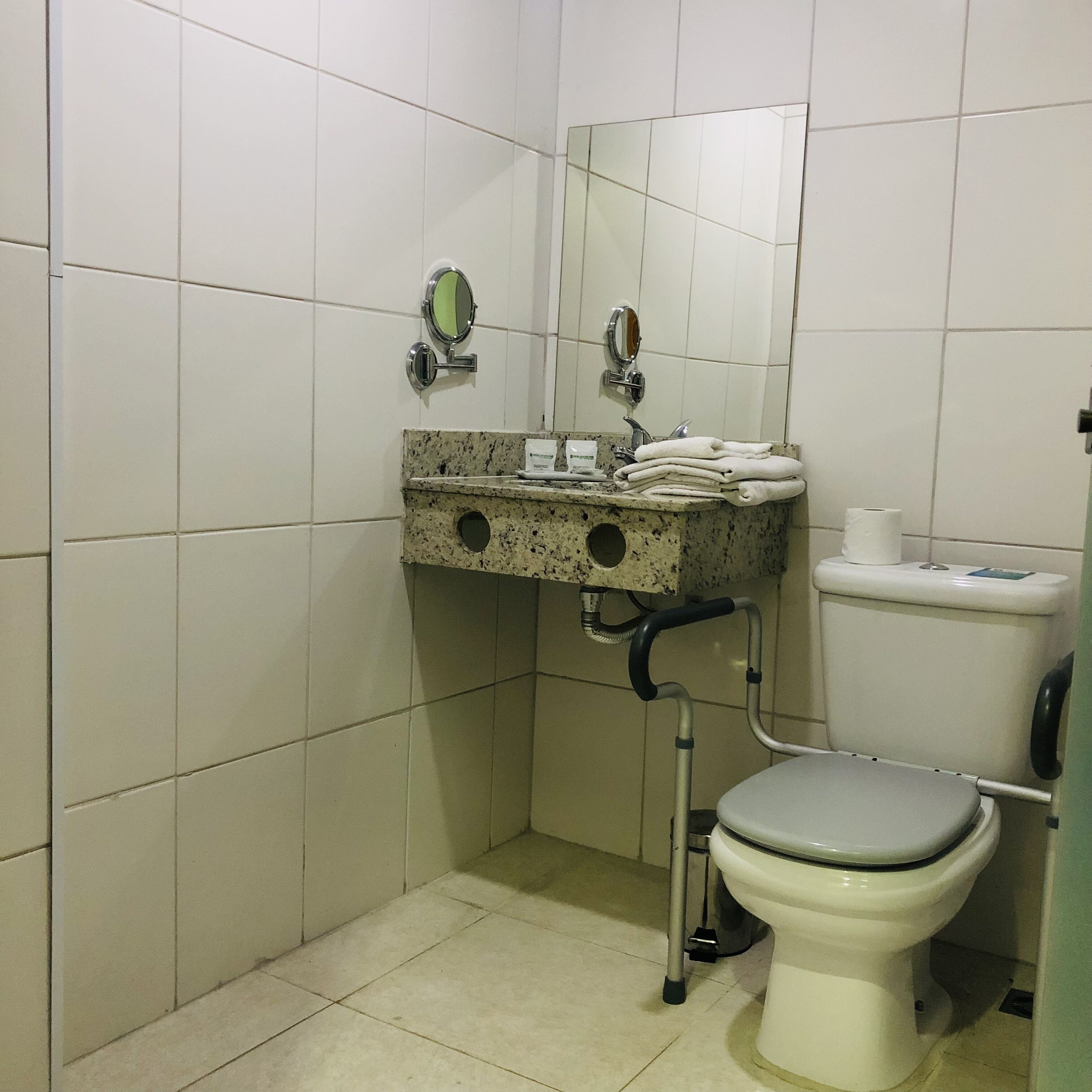 A small bathroom with a toilet, a sink with a mirror, and a handrail.