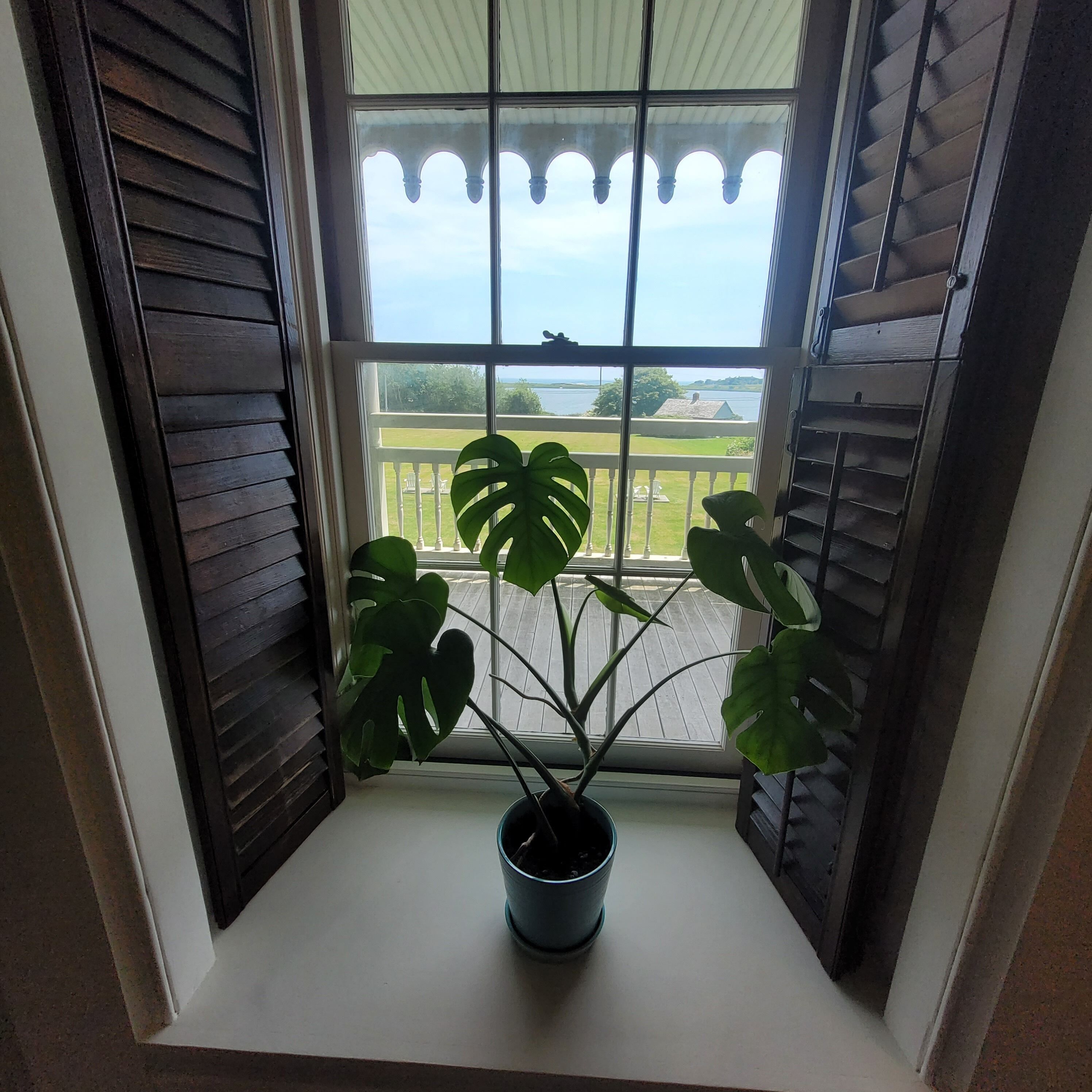 1 bedroom, 1 king bed | beach/ocean view