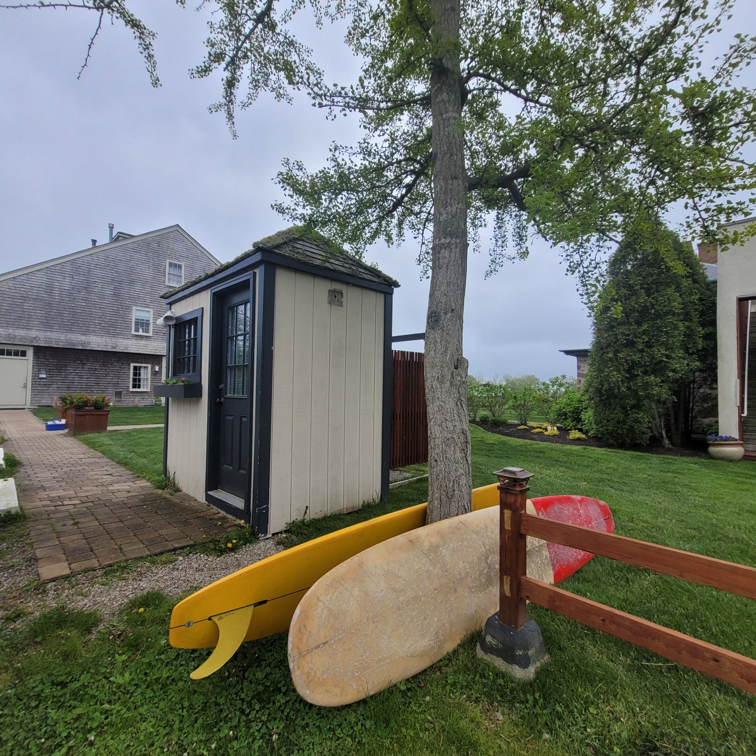 surfing/boogie boarding