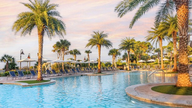 A pool area with lounge chairs and umbrellas, surrounded by palm trees.