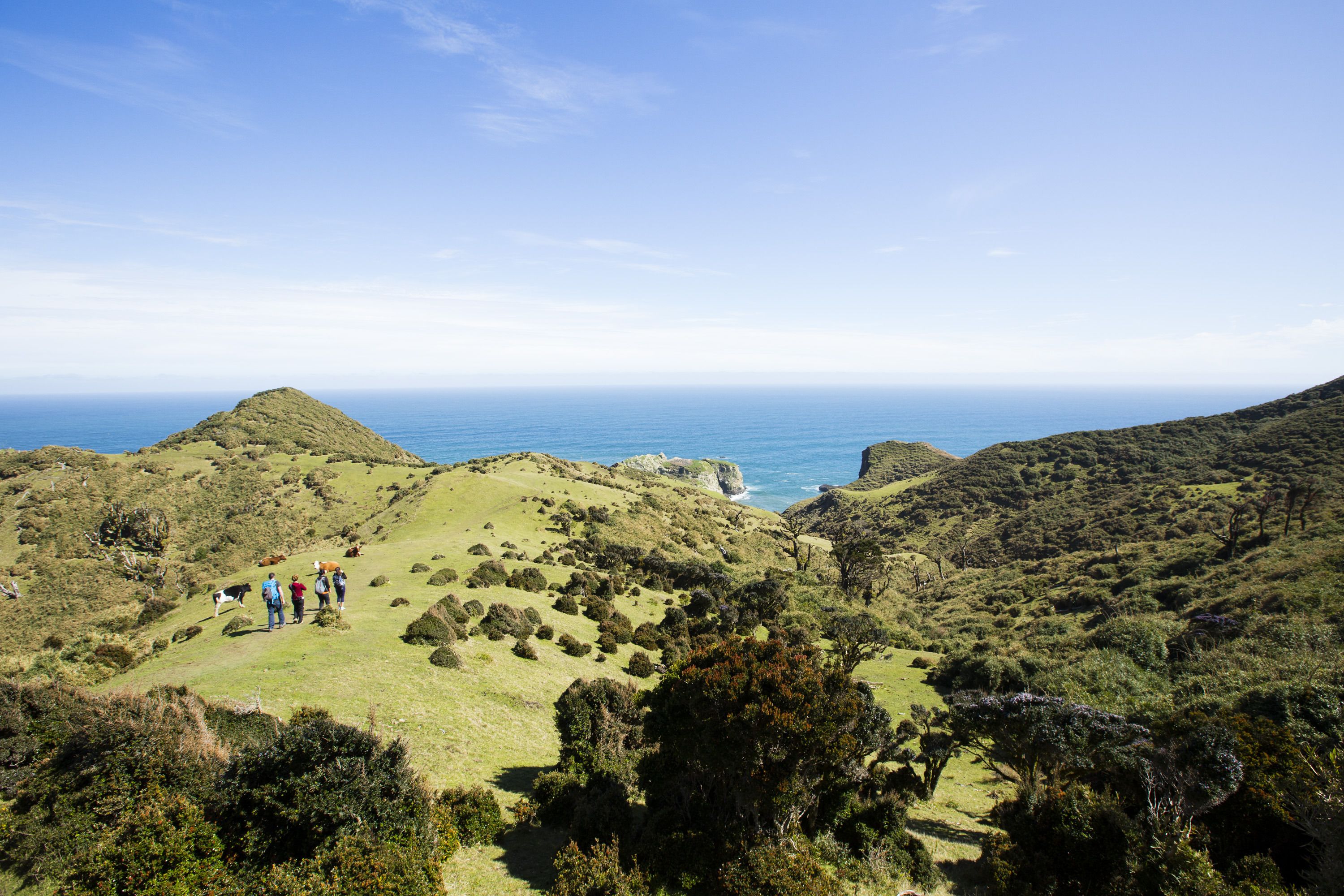 A hilly landscape with a group of people standing on a grassy area.