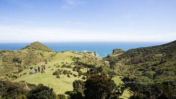 A hilly landscape with a group of people standing on a grassy area.