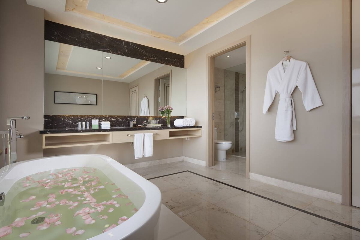 Shower, free toiletries, hair dryer, towels