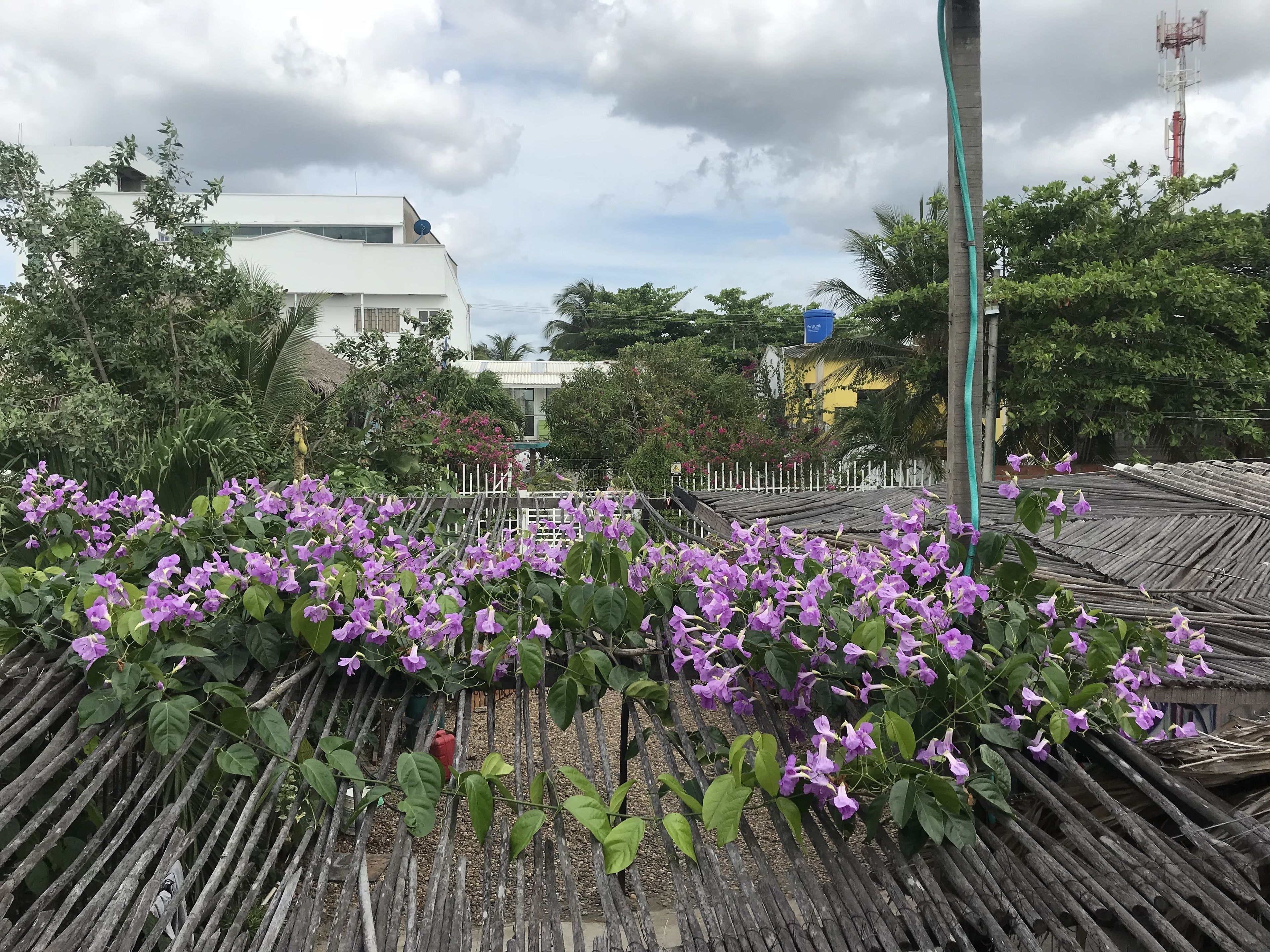 Photo - Posada Kalea
