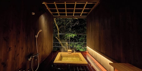 Hot springs. Seikanso