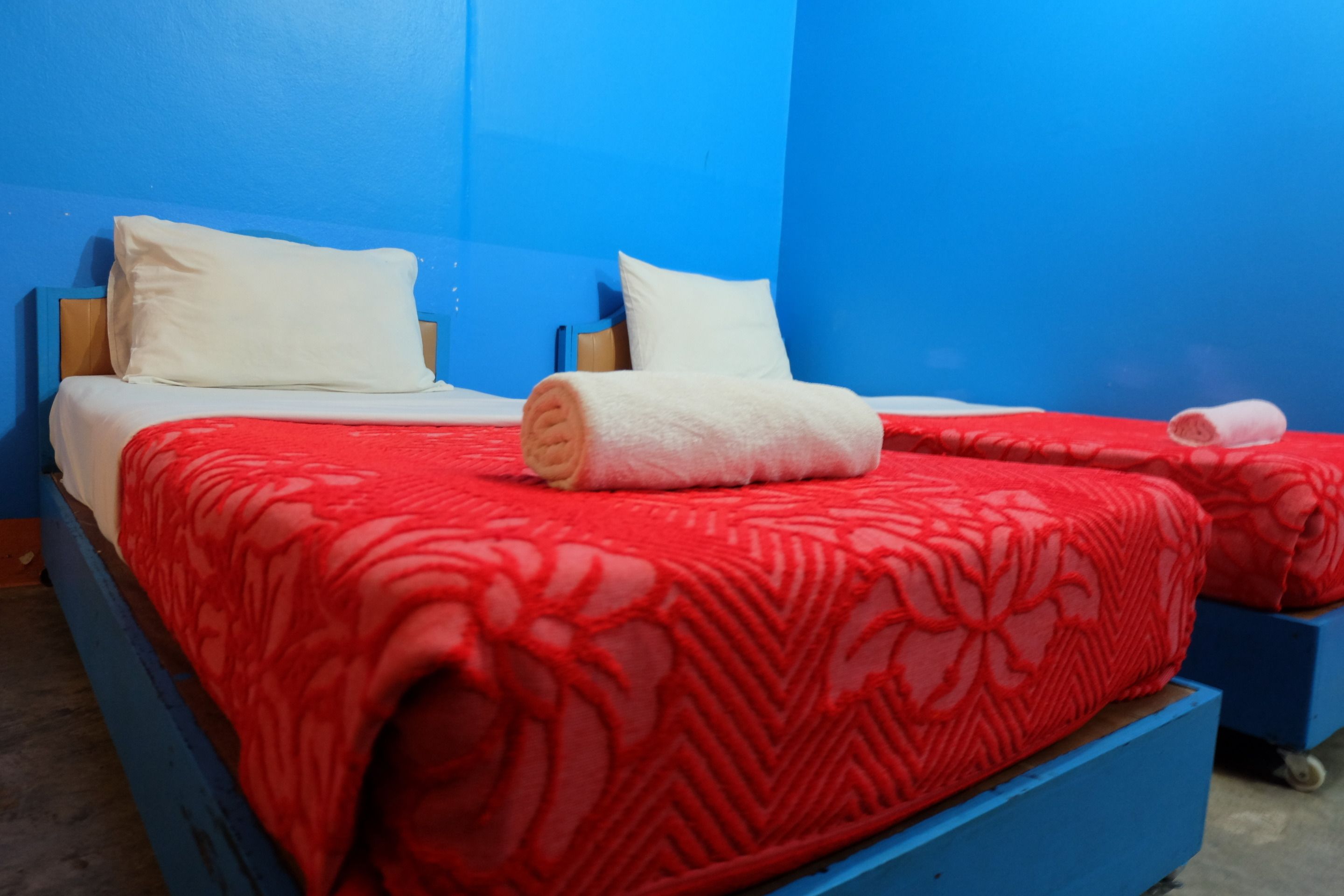 Photo - B&B House & Hostel