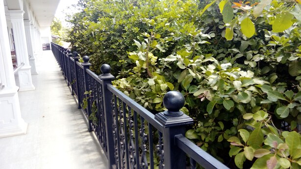 A corridor with a black metal railing and dense green foliage on one side. - Sarathchandra Tourist Guest House (Embilipitiya)