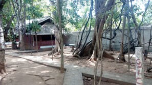 Cottage, 1 Bedroom | View from room