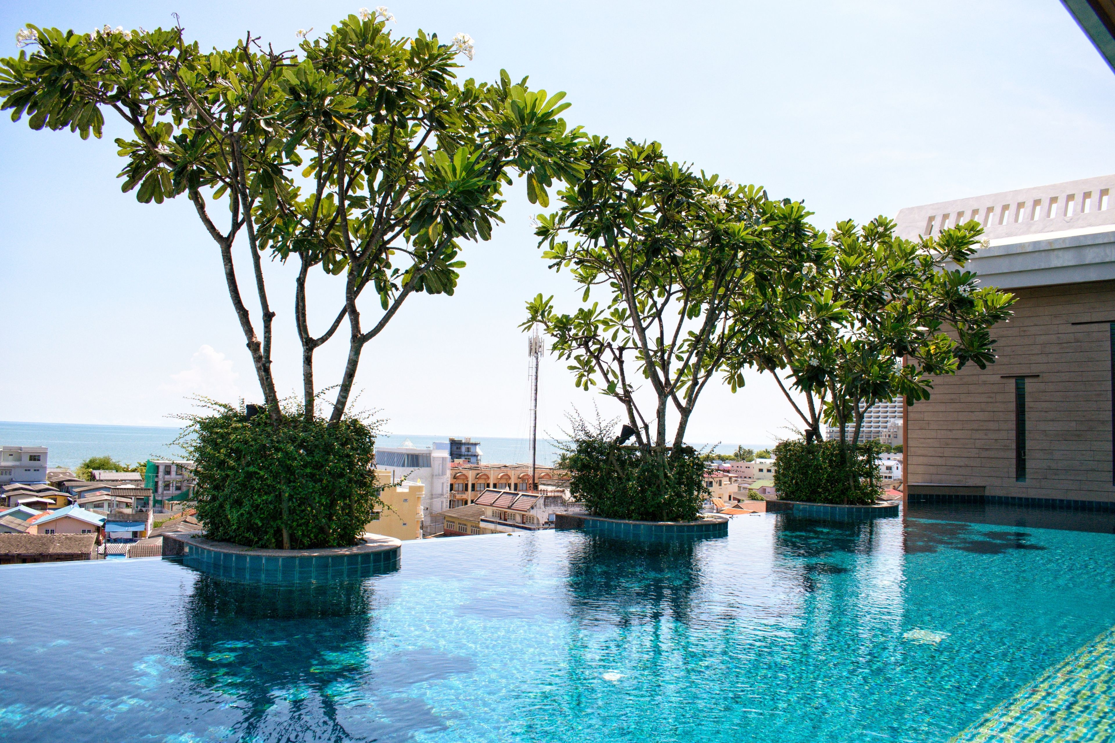 A rooftop infinity pool with clear blue water, surrounded by lush greenery and overlooking a cityscape.