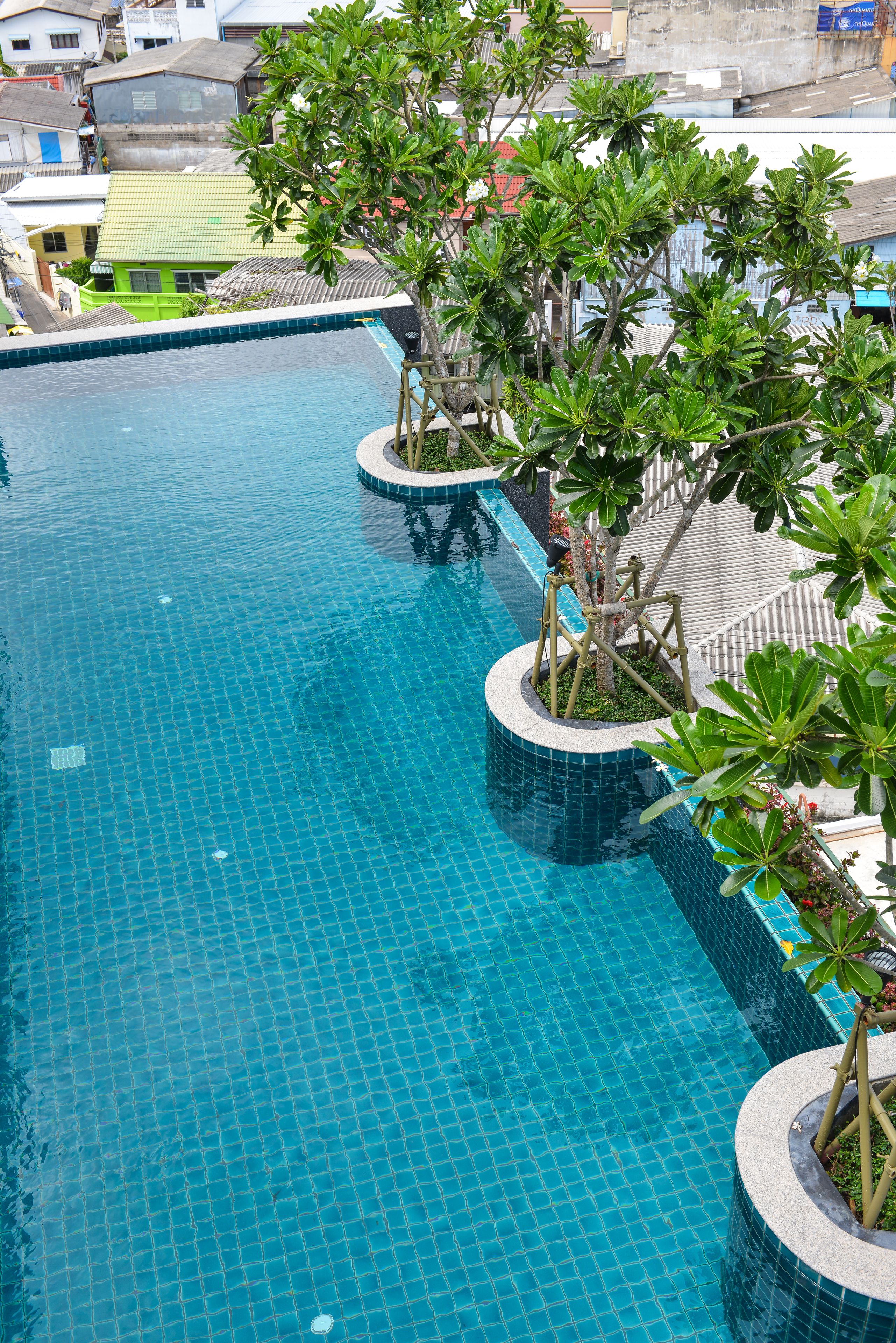 A swimming pool with tiled flooring and surrounding greenery.