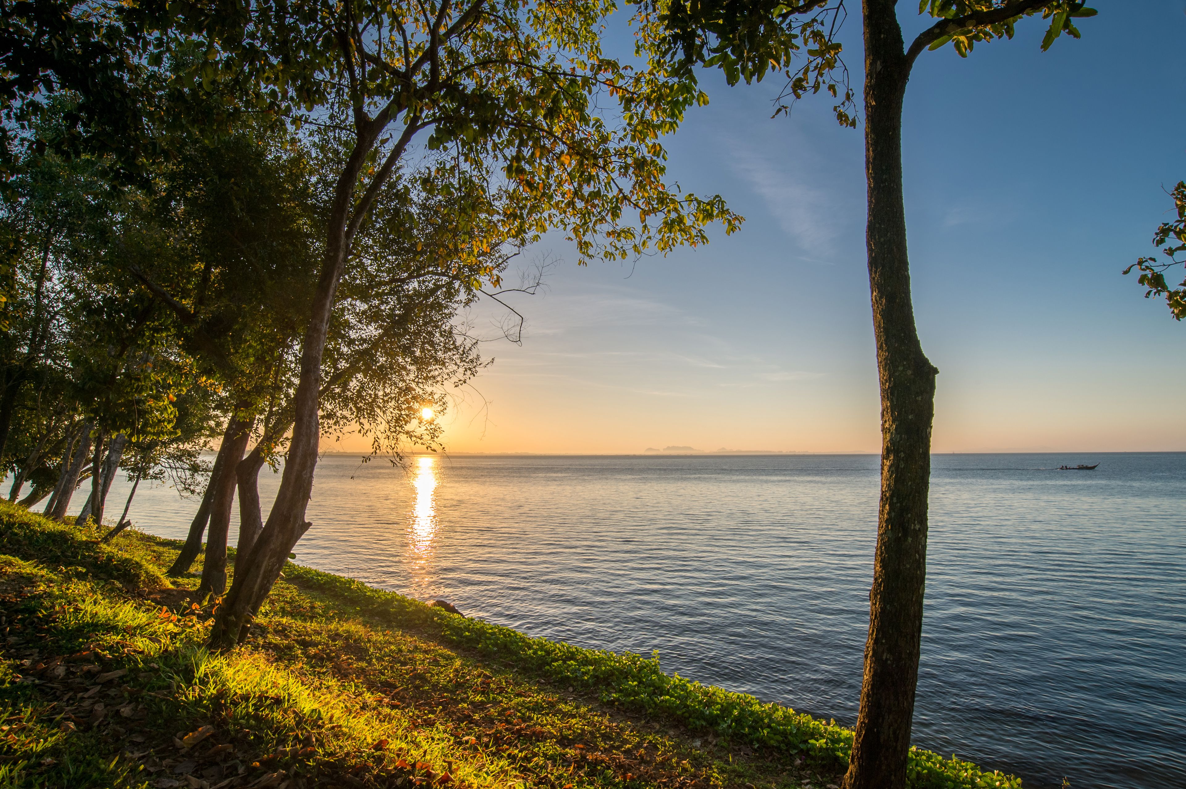 A serene lakeside scene with trees and a boat on the water.