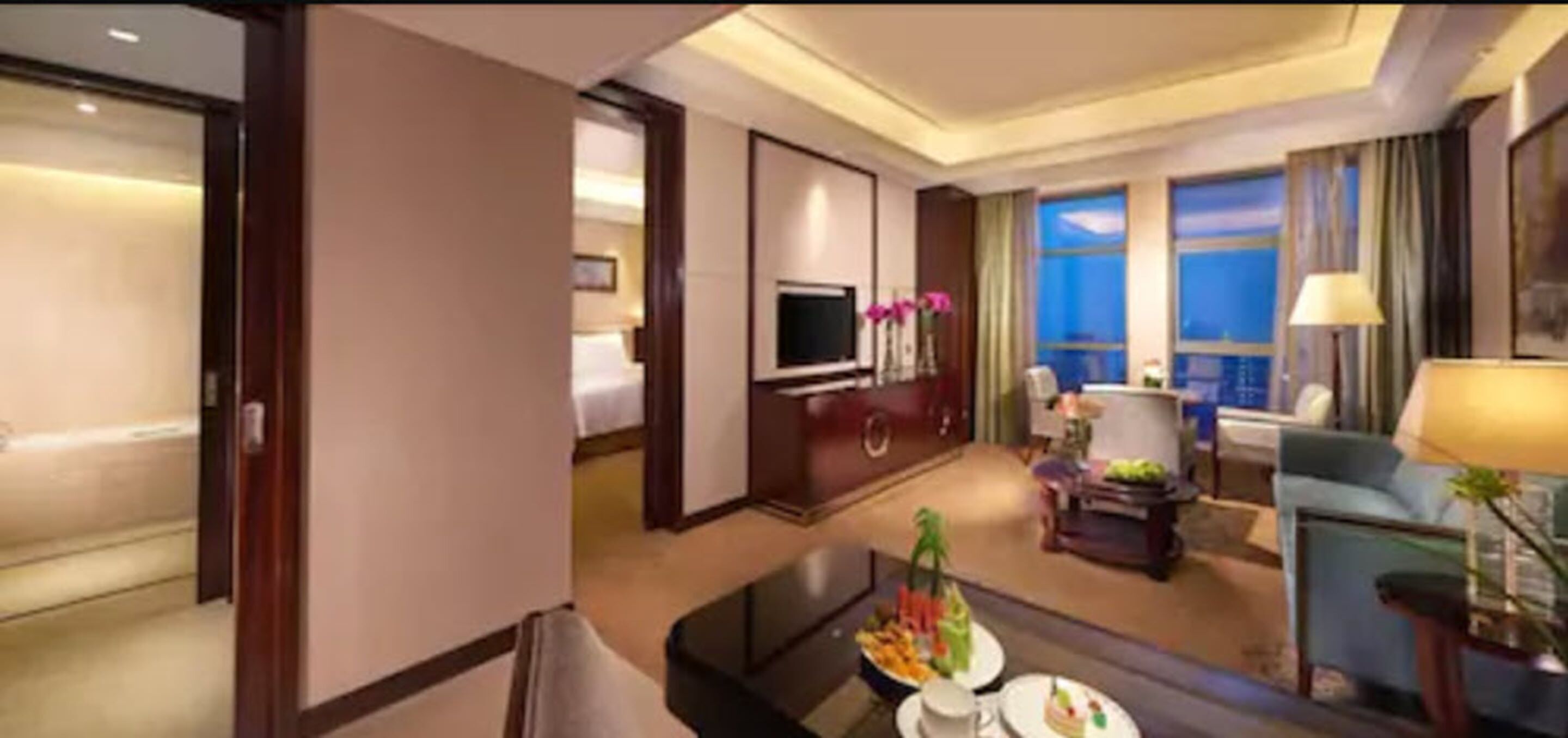 deluxe suite | living room | tv
