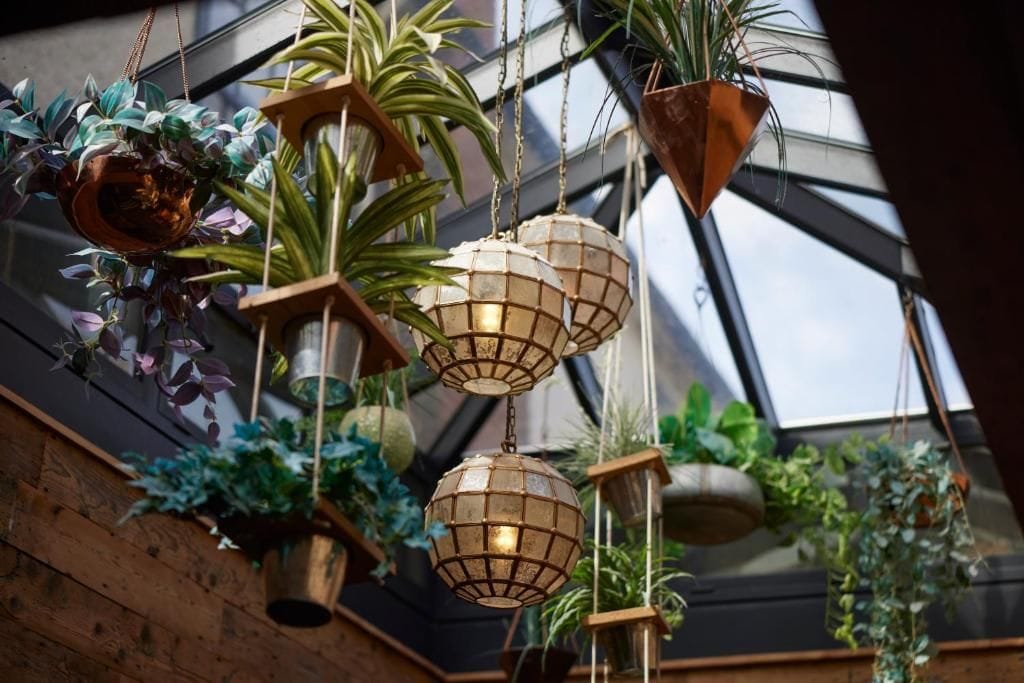 A room with hanging planters and a geometric ceiling structure.