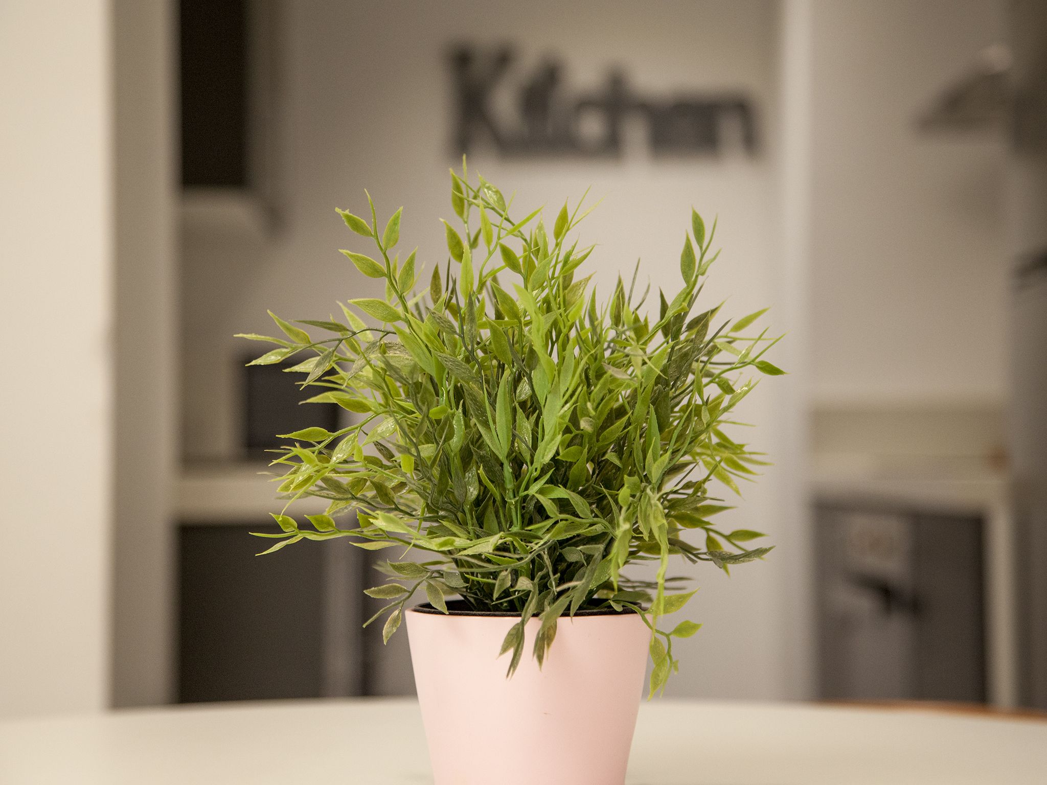 A potted plant in a pink pot on a table in a room with a kitchen area in the background.