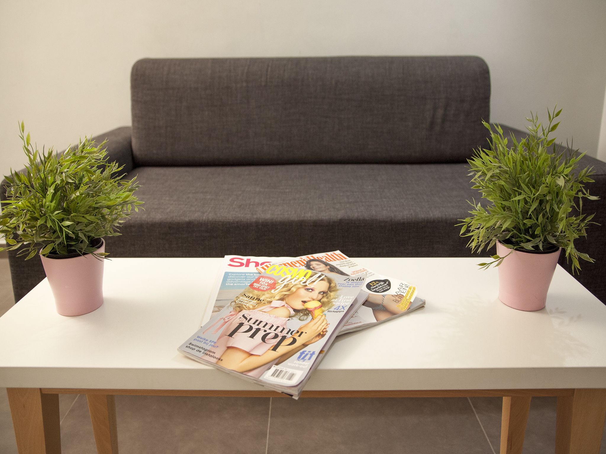 A table with magazines and two potted plants.