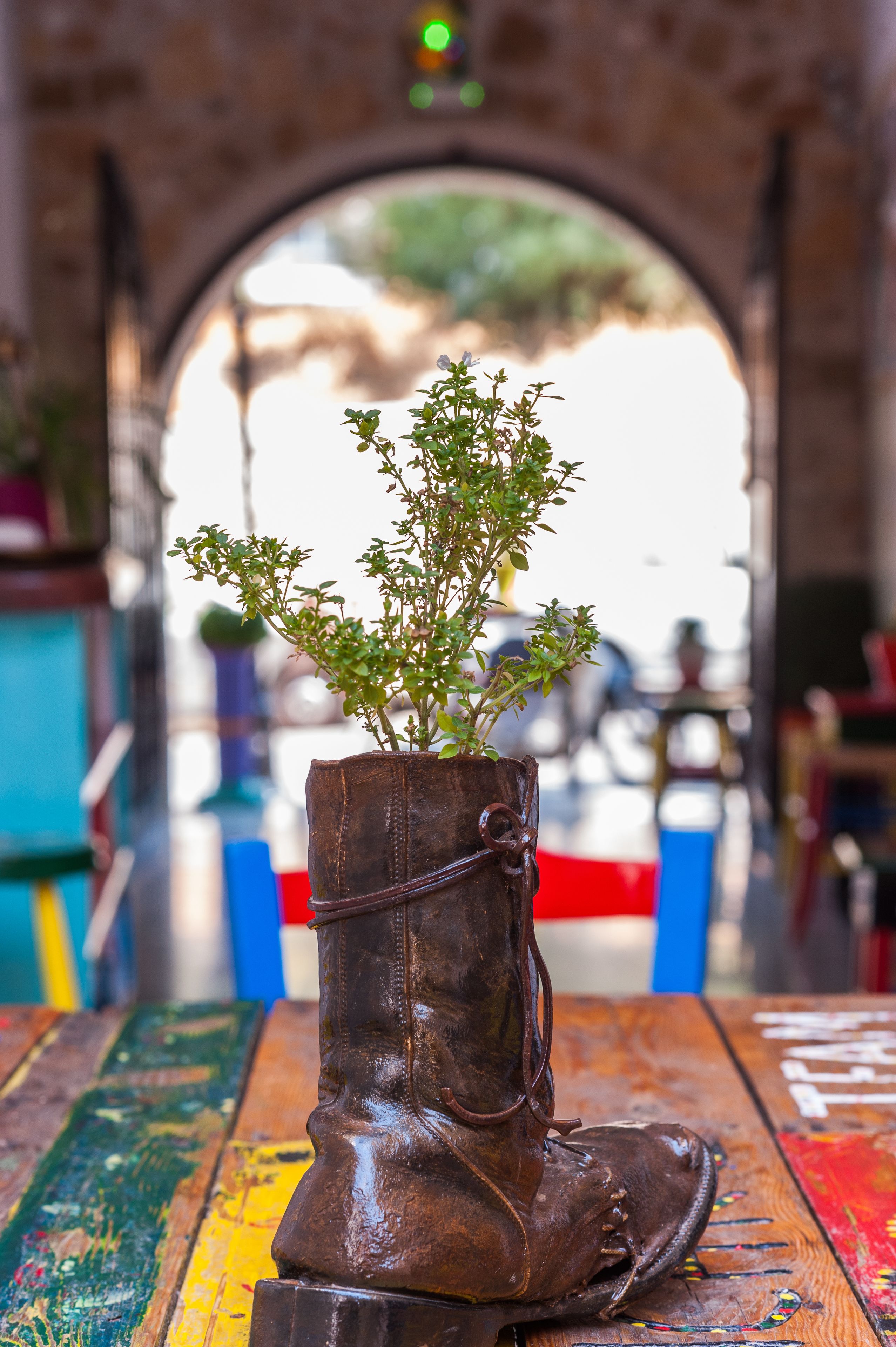 Foto - Poco Loco Bed & Breakfast