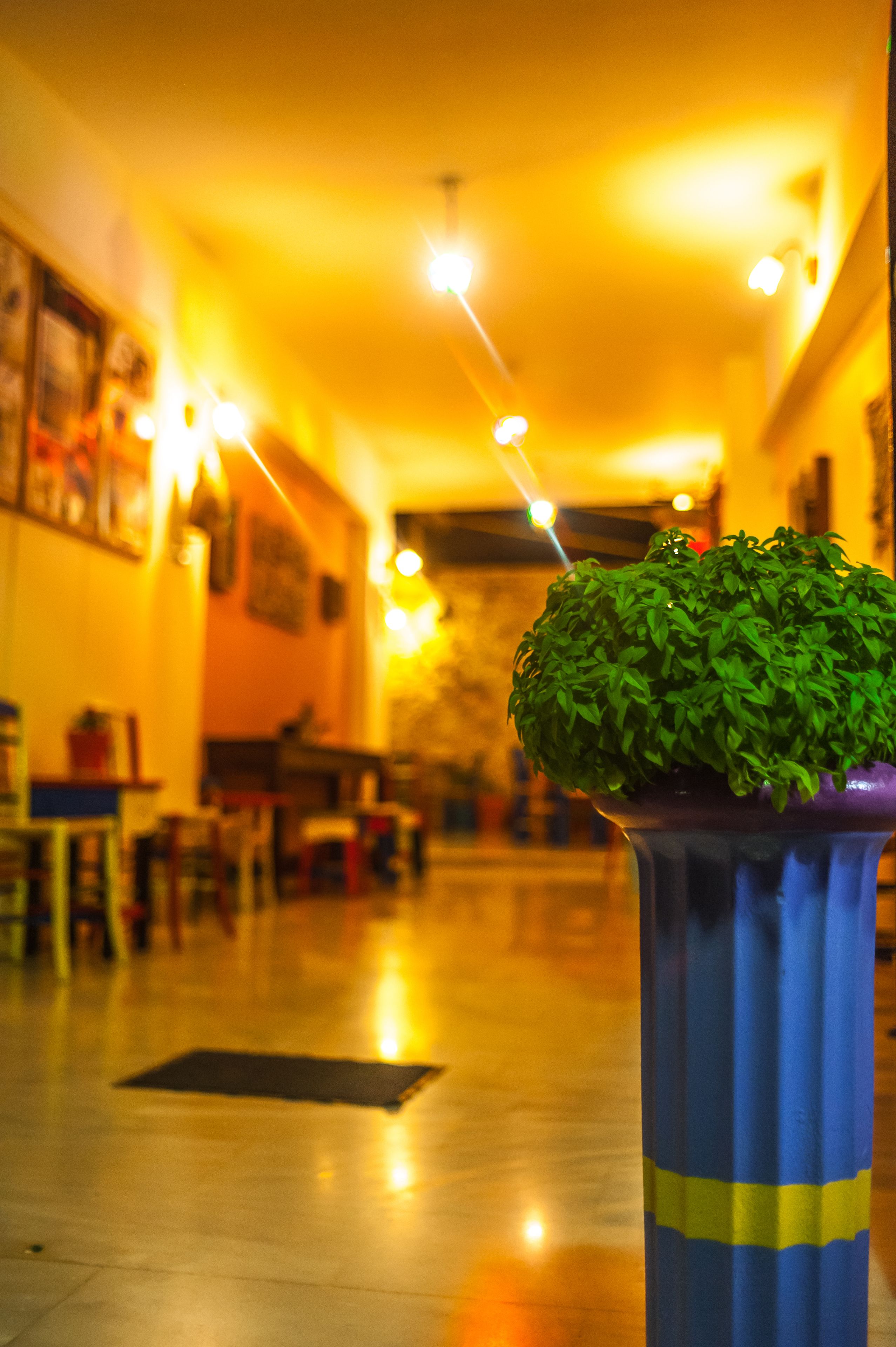 Foto - Poco Loco Bed & Breakfast