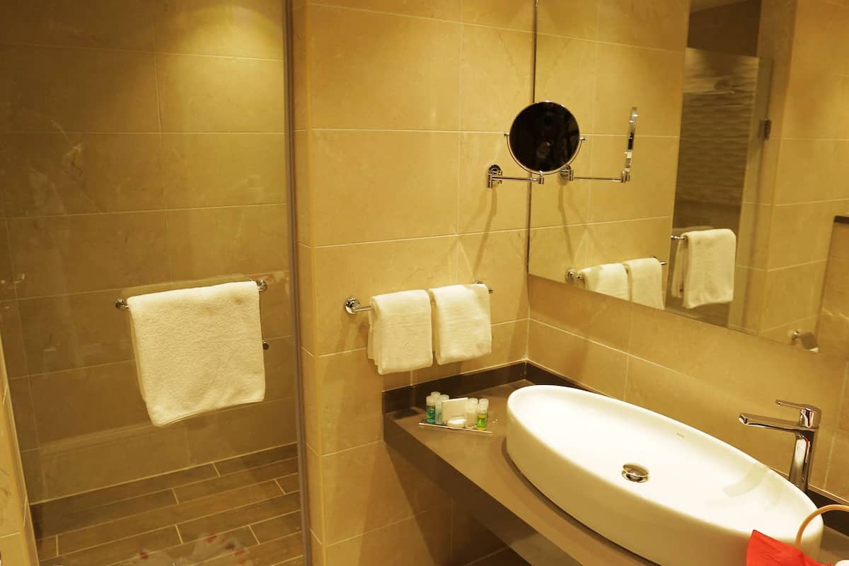 shower, free toiletries, hair dryer, towels