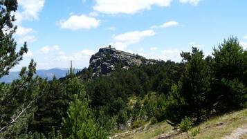 Un paisaje montañoso con bosque denso y un pico rocoso.