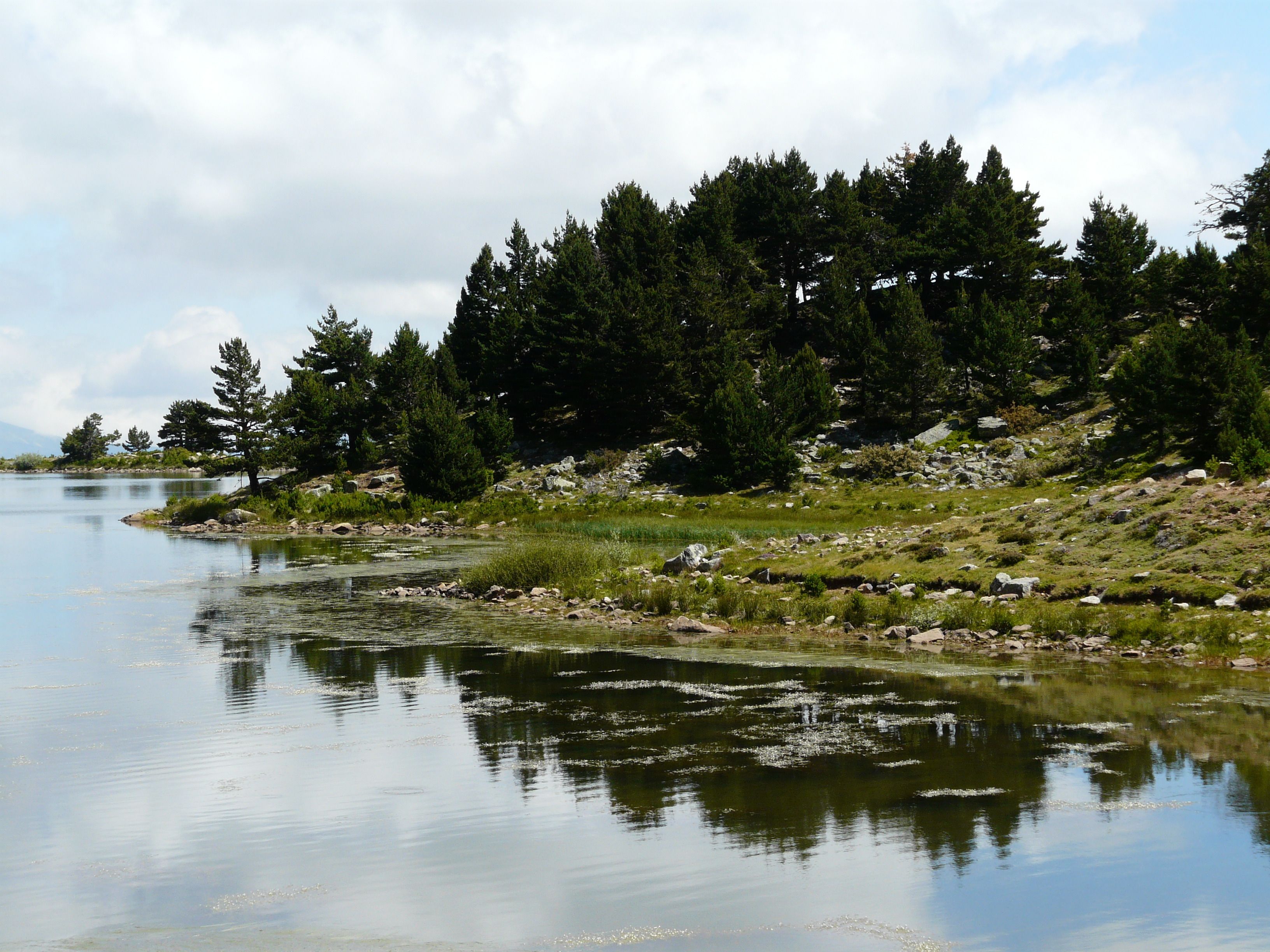 A calm lake with a rocky shoreline and dense forest in the background.