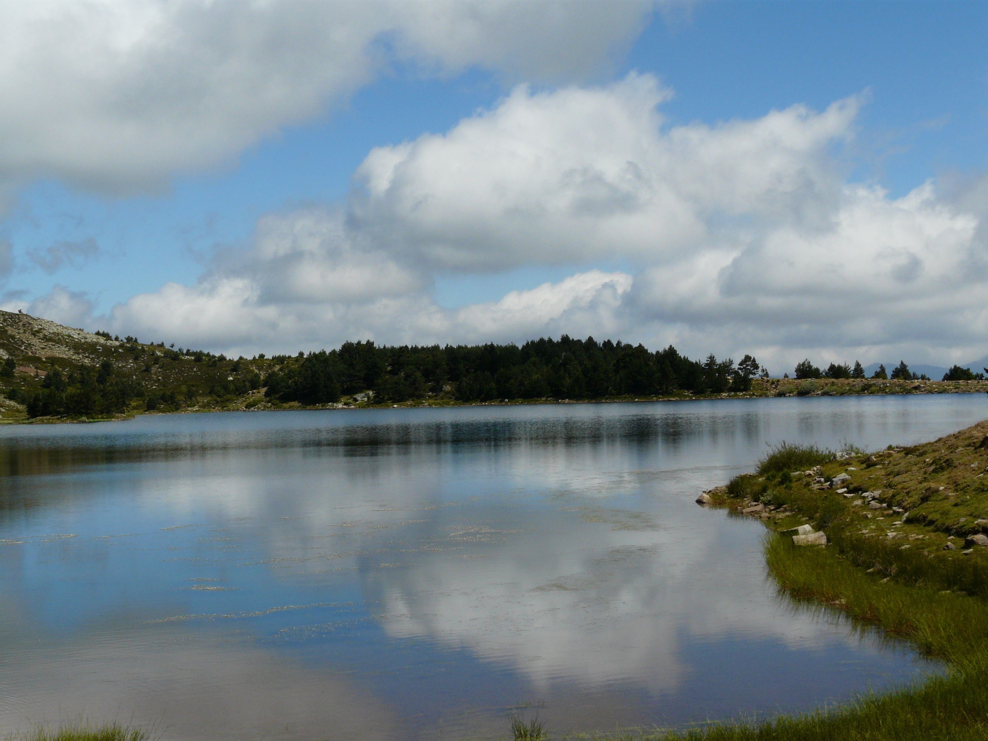 Un lago tranquilo con una ladera boscosa al fondo.