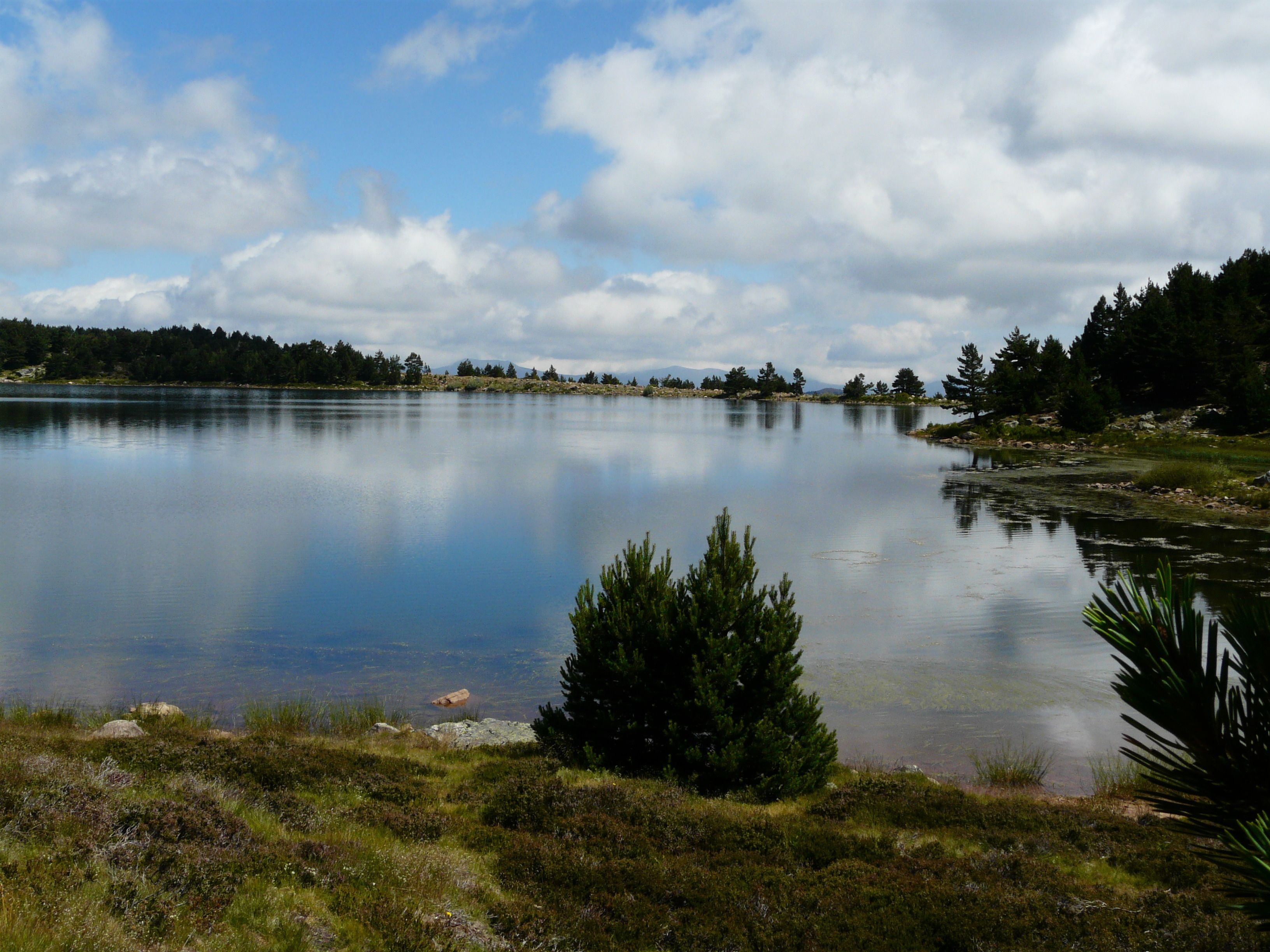 Un lac paisible, bordé d’arbres, sous un ciel dégagé.