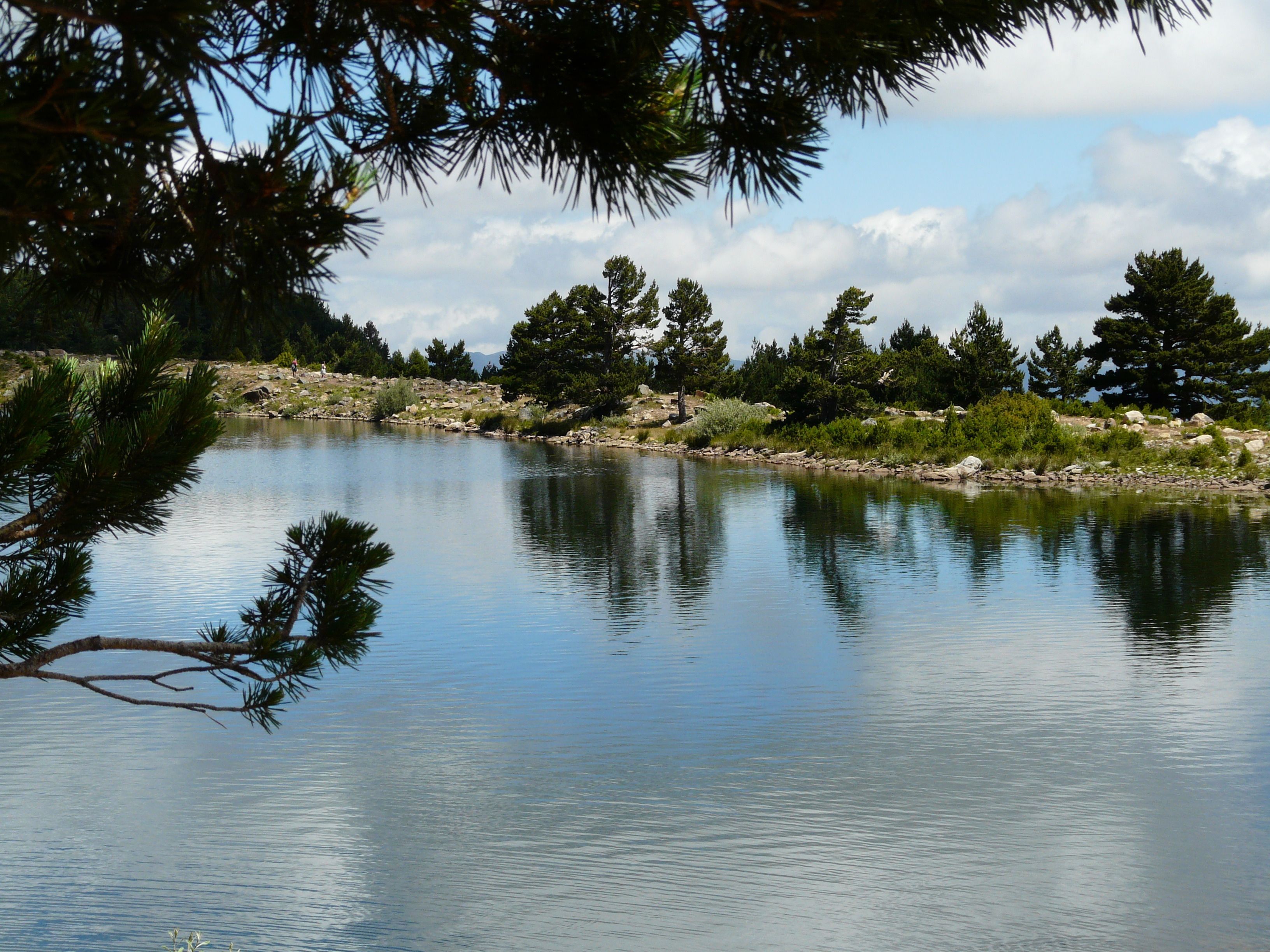 A calm lake surrounded by trees and rocks.