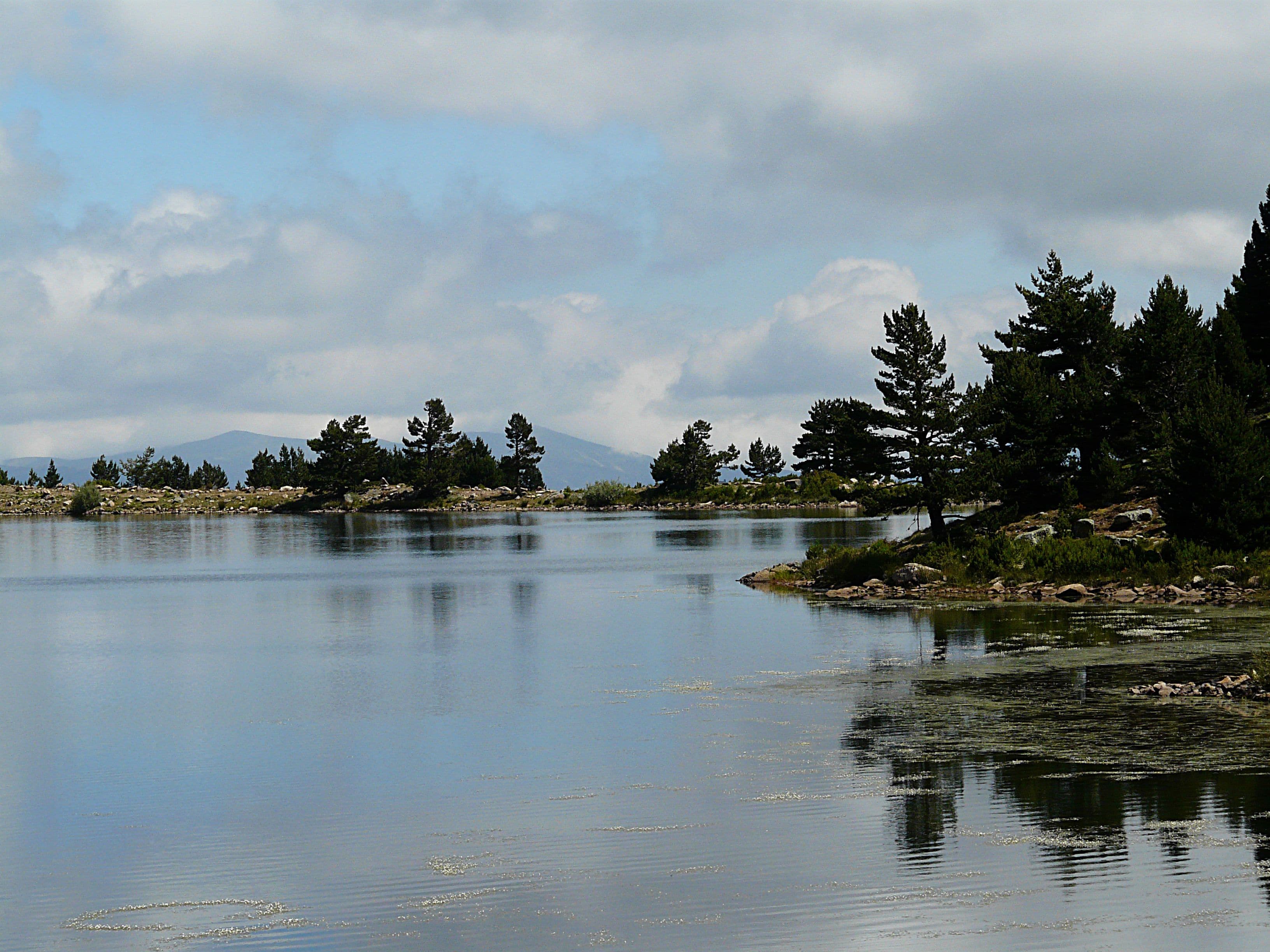 Un lago tranquilo rodeado de árboles y montañas.
