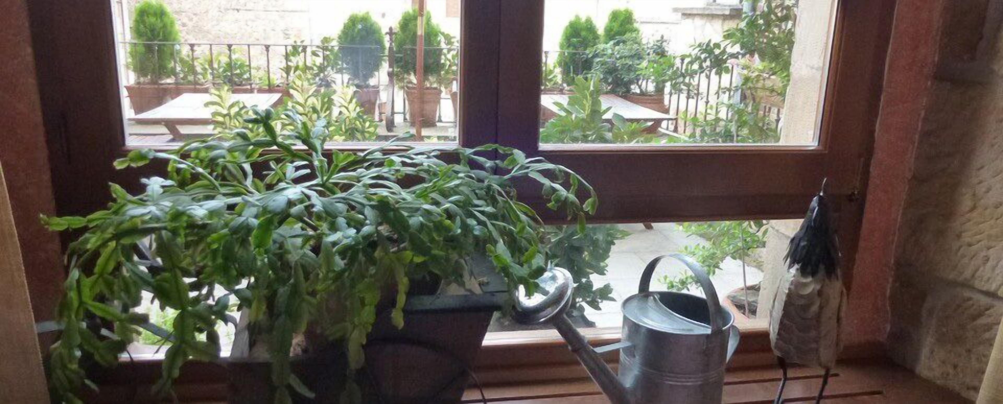 Foto - Posada Las Mayas