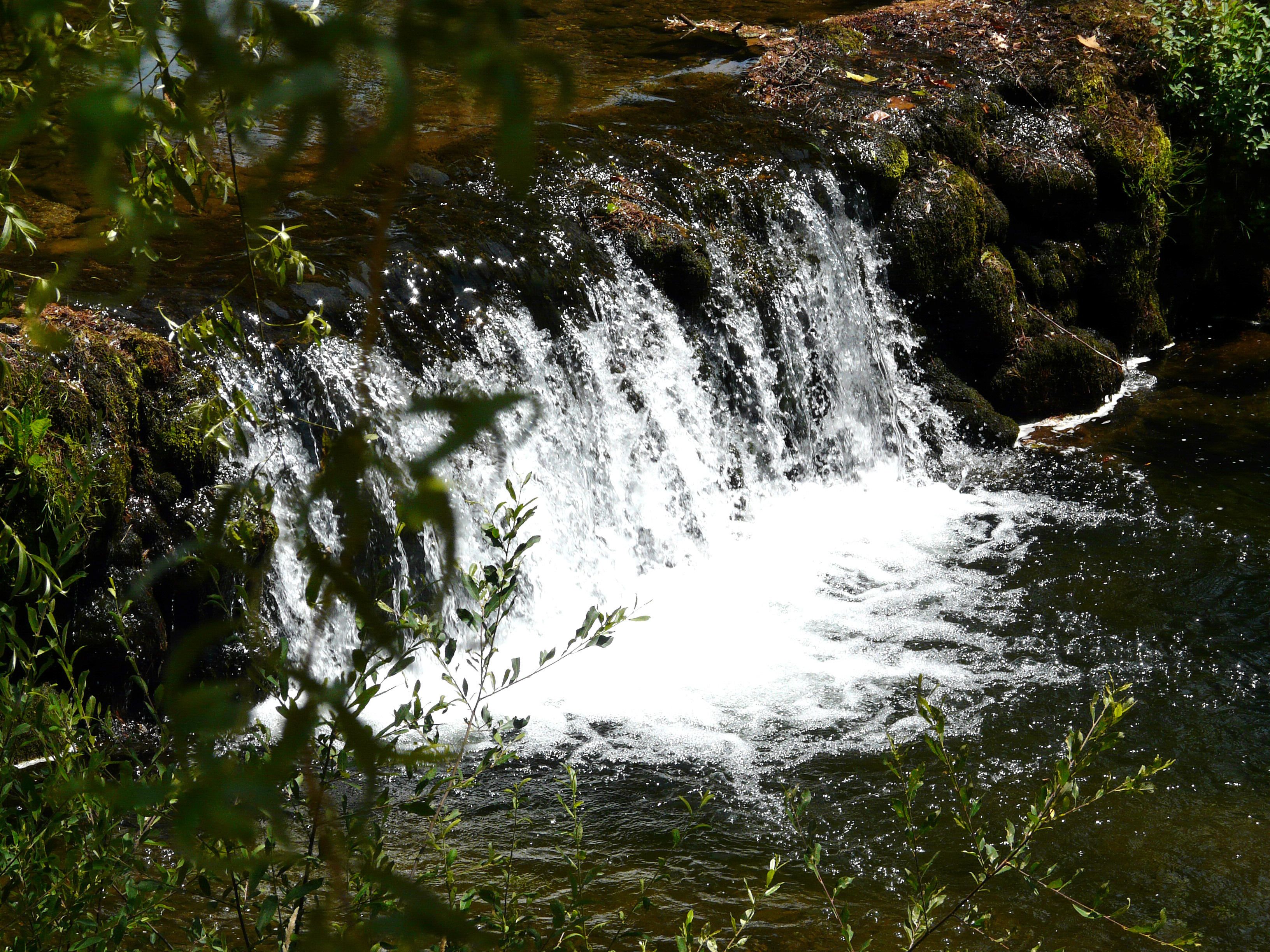 A small waterfall in a forested area with rocks and greenery around.