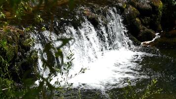 A small waterfall in a forested area with rocks and greenery around.