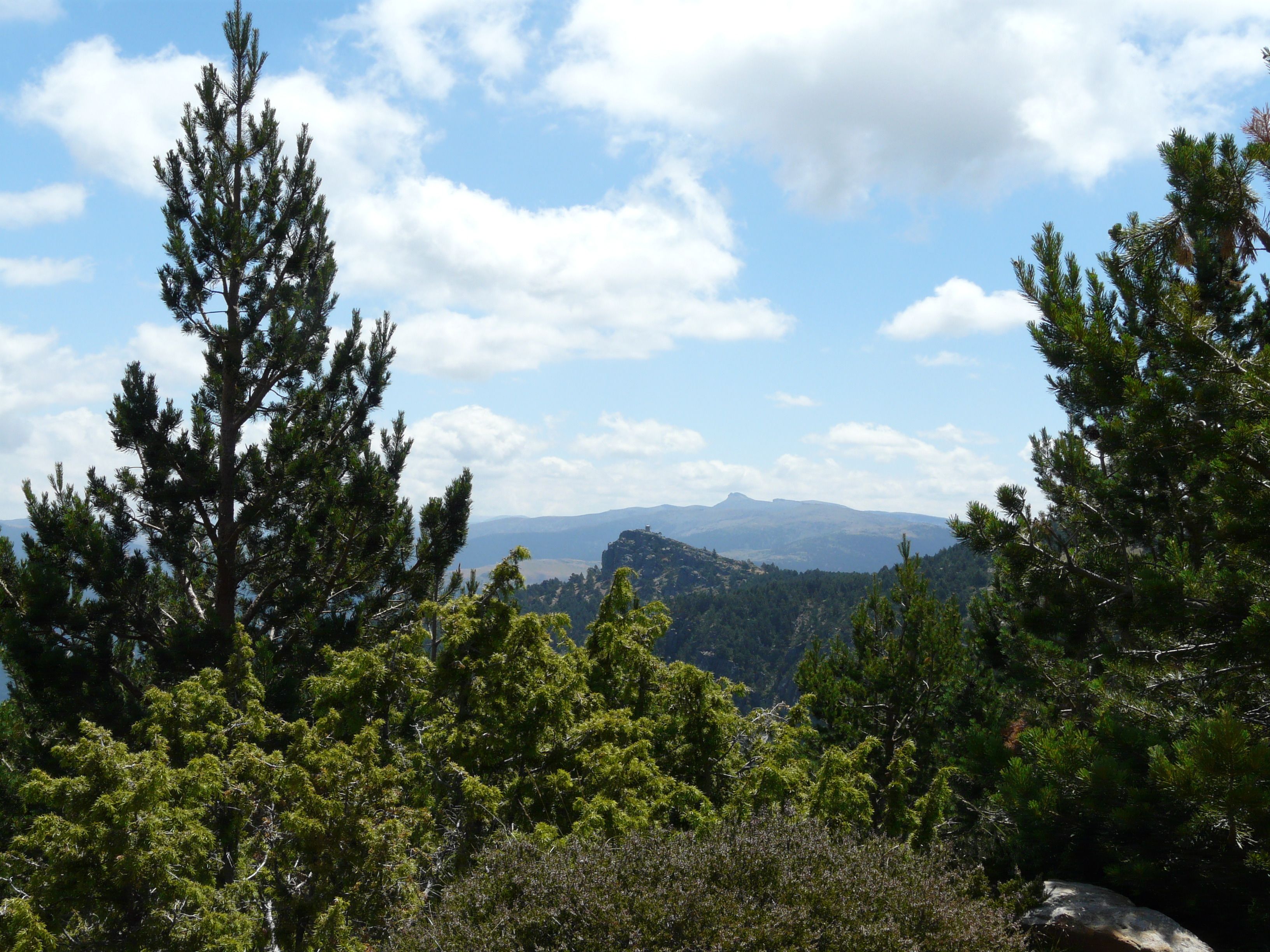 A mountainous landscape with dense green forests and a clear sky.