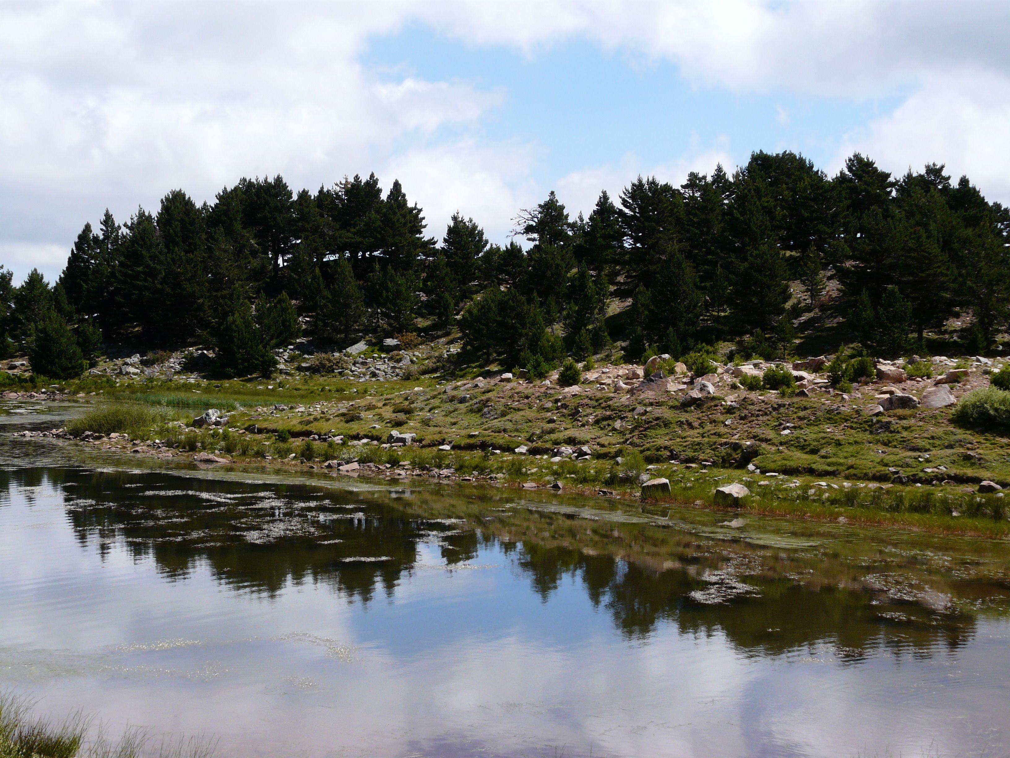 A natural landscape with a body of water reflecting trees and sky.