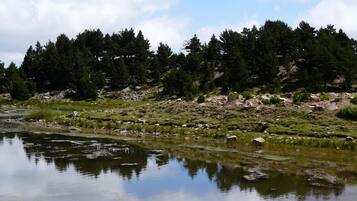 A natural landscape with a body of water reflecting trees and sky.