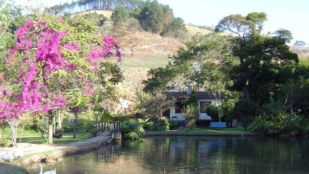 Un estanque tranquilo con patos, rodeado de abundante vegetación y un pequeño puente.