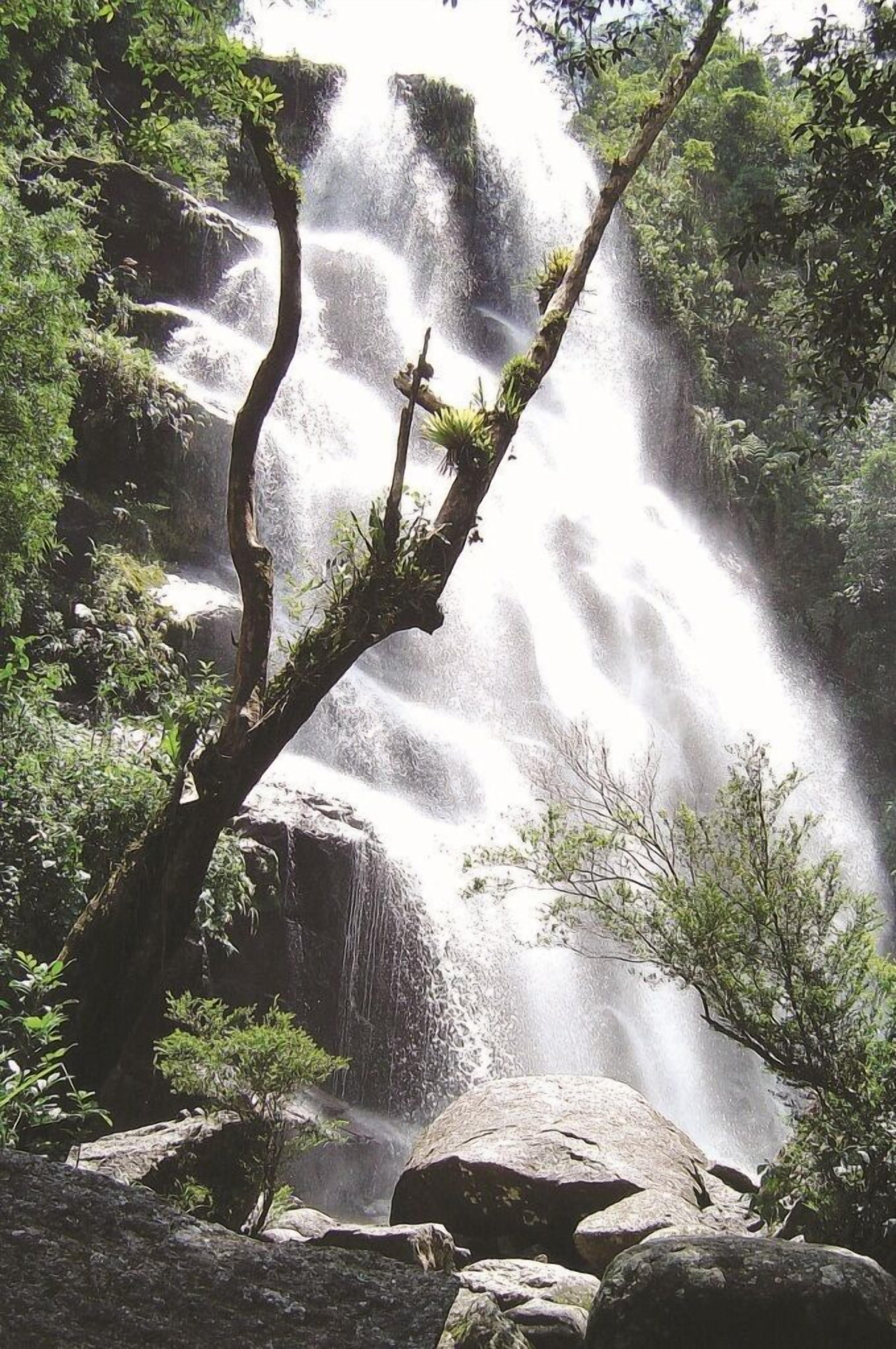 Una cascada rodeada de rocas y vegetación.
