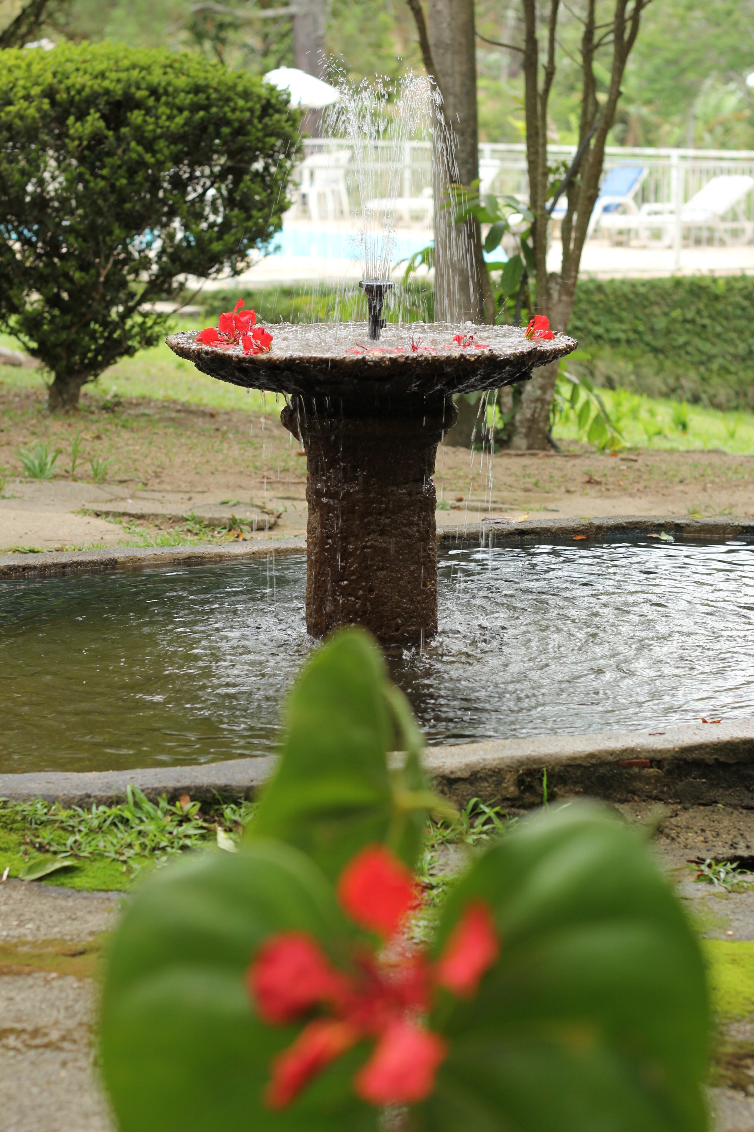 Ein Springbrunnen mit Wasserstrahlen in einem Garten.