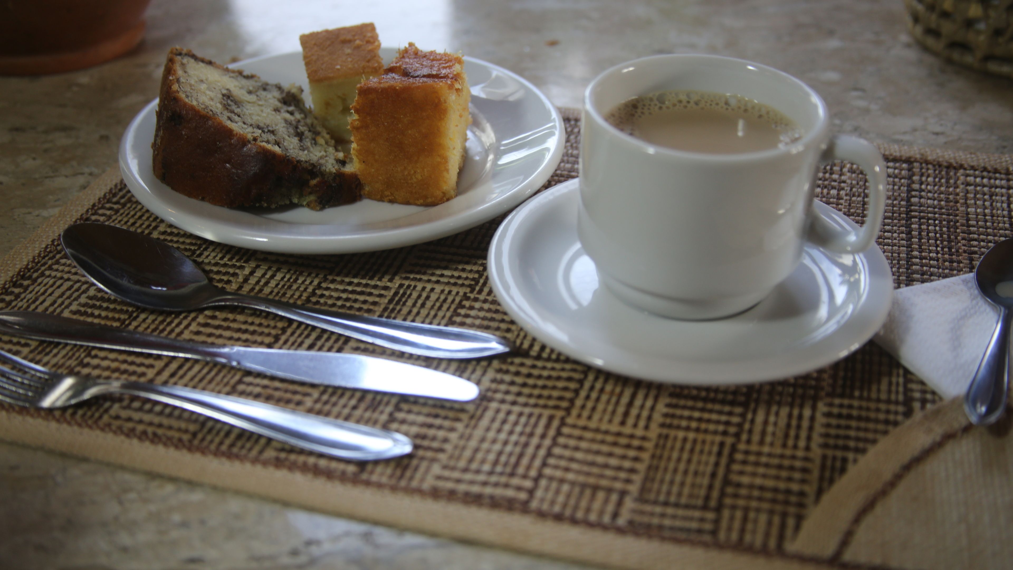 lunch and dinner served