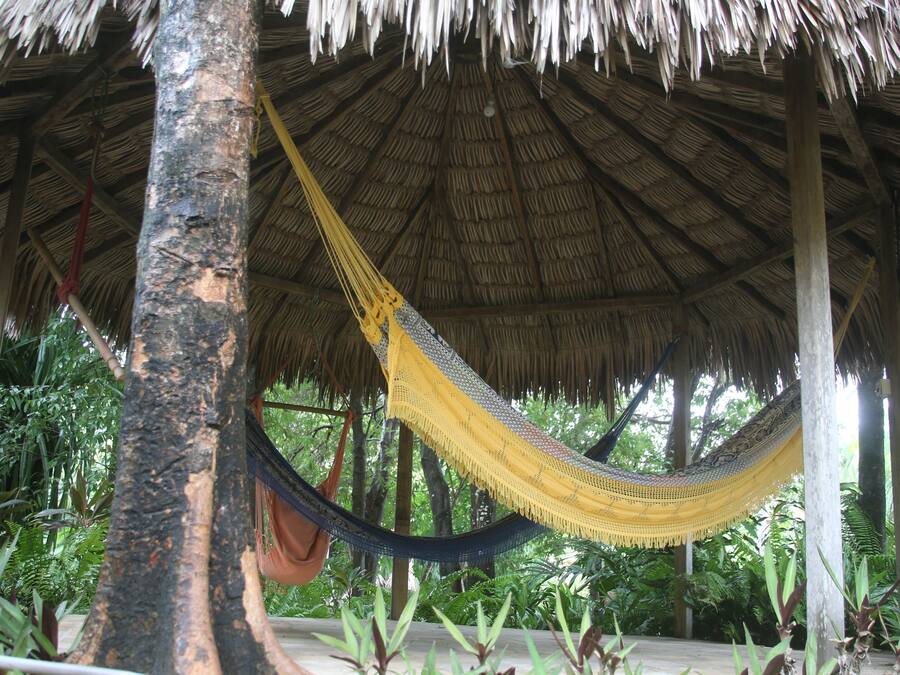 A hammock under a thatched roof structure surrounded by lush greenery.
