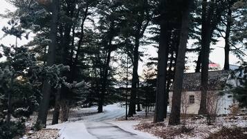 Una carretera cubierta de nieve bordeada por altos árboles de hoja perenne, que conduce a un edificio con fachada blanca.