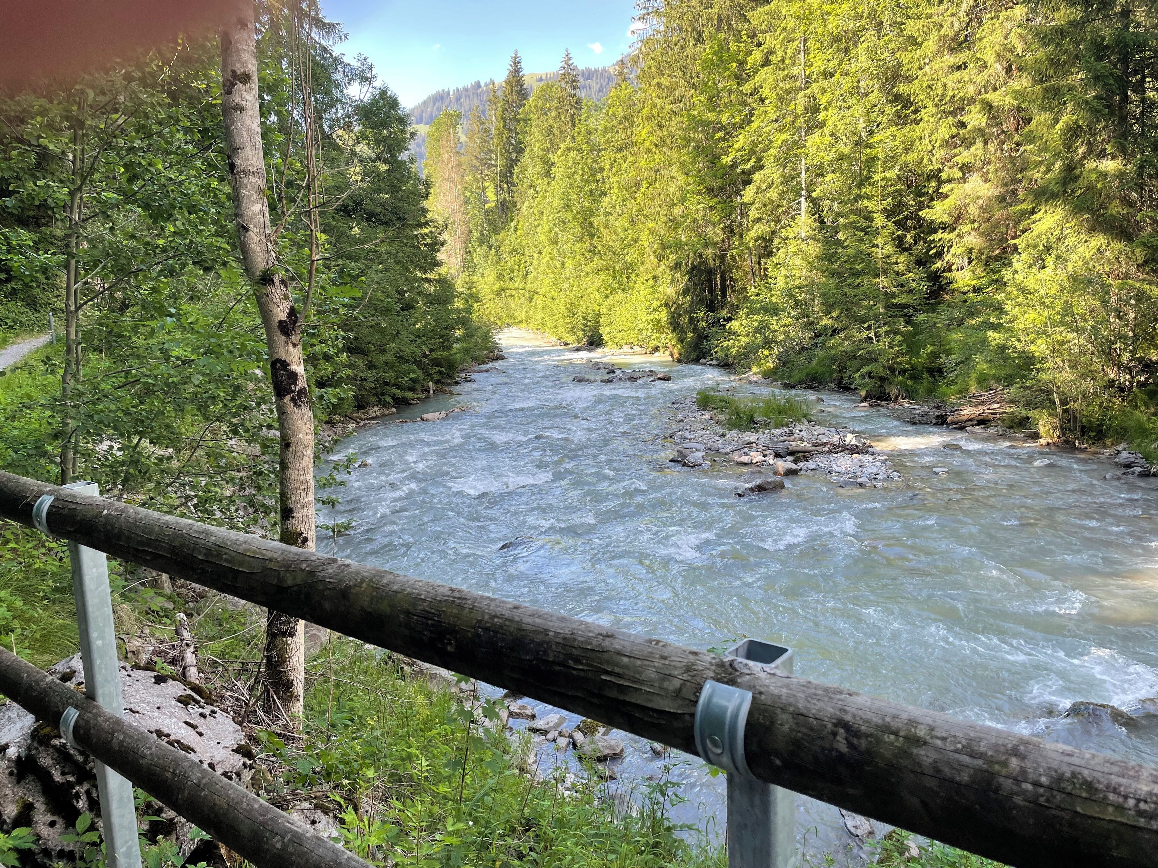 Ein Fluss fließt durch ein bewaldetes Gebiet, im Vordergrund eine Holzbrüstung.