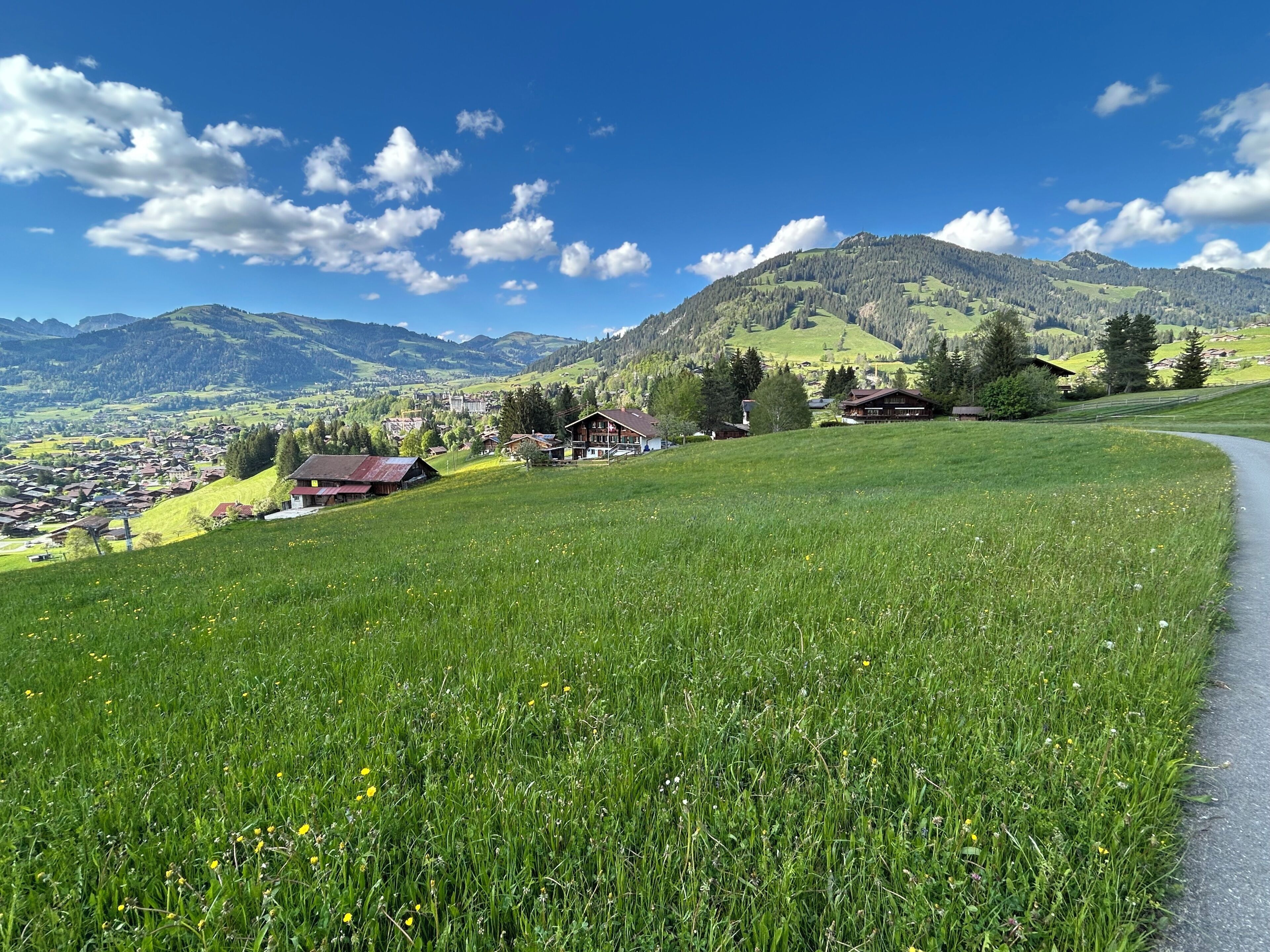 A rural landscape with a winding road, green fields, and a small village with traditional houses.